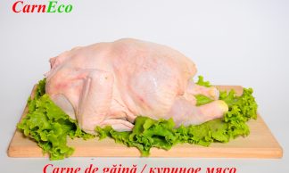 Куриное мясо Куриное мясо