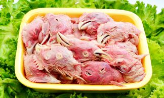 Куриные головы